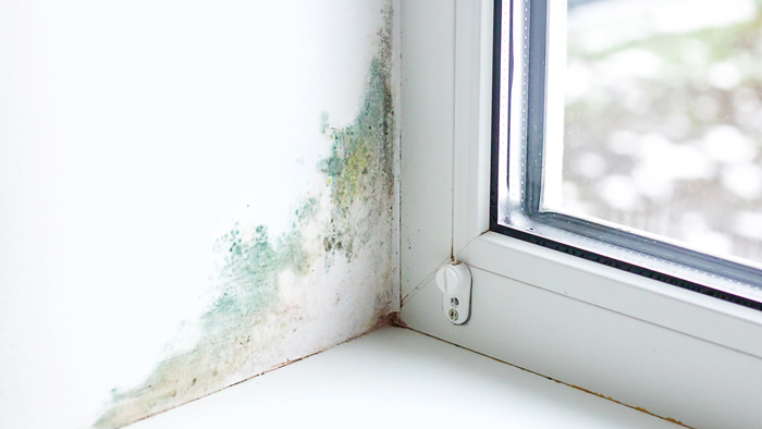 Humedad por lluvias y filtraciones. Impermeabilización de techos.